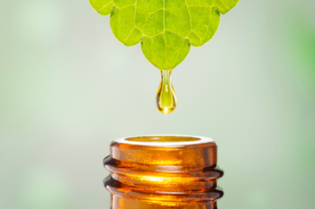Aloe Vera dropping into a bottle