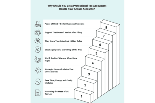Why Should You Let a Professional Tax Accountant Handle Your Annual Accounts Infographic