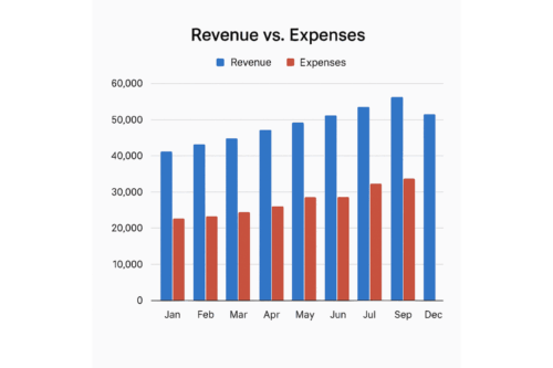 Sample revenue vs expense bar chart for retail